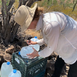 Emily Sander lables jugs "Pure Water" to leave in the Arizona dessert for Central American imigrants..August 26, 2019. Photo by Jude Joffe-Block